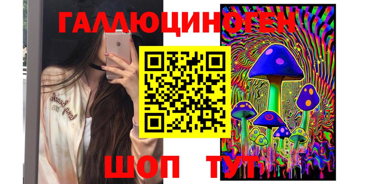 Псилоцибиновые грибы мицелий Ленинск-Кузнецкий