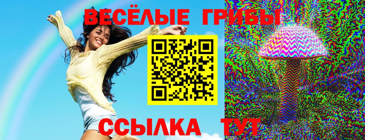 Ленинск-Кузнецкий  Псилоцибиновые грибы Psilocybe  Вход с VPN 
